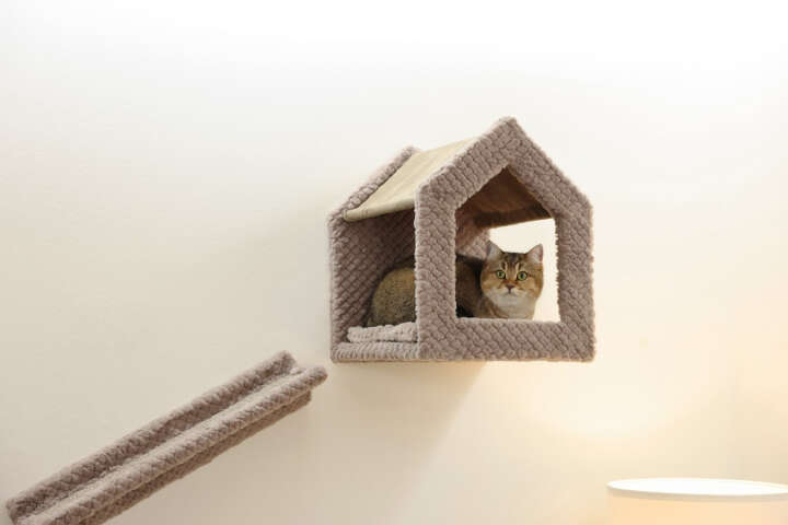 KERBL Kratzbaum MonteBaldo